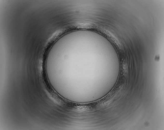 X0000102340686200808151728