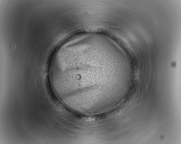 X0000102340687200808151728