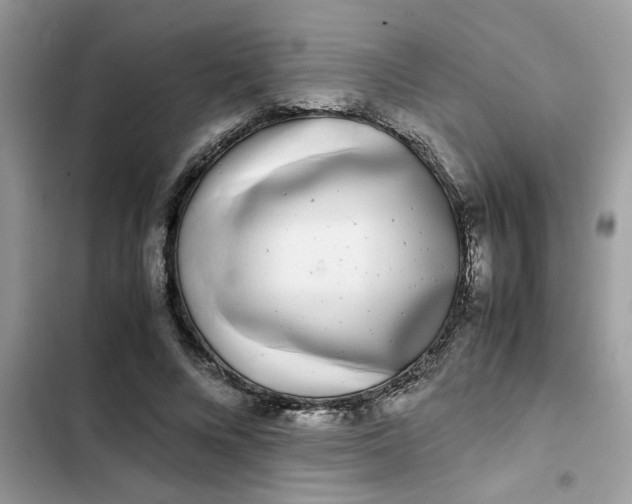 X0000102340688200808151728