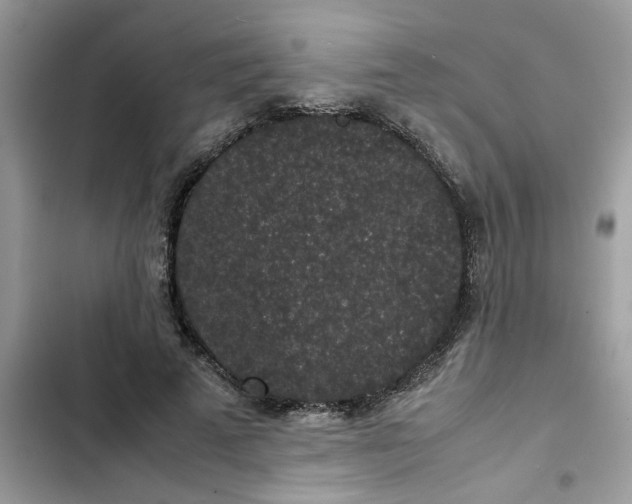 X0000102340689200808151728