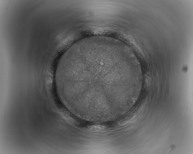 X0000102340691200808151728