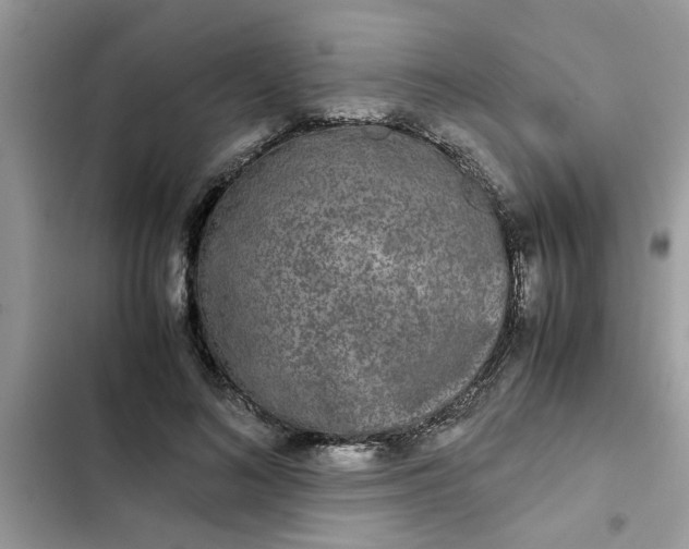 X0000102340692200808151728