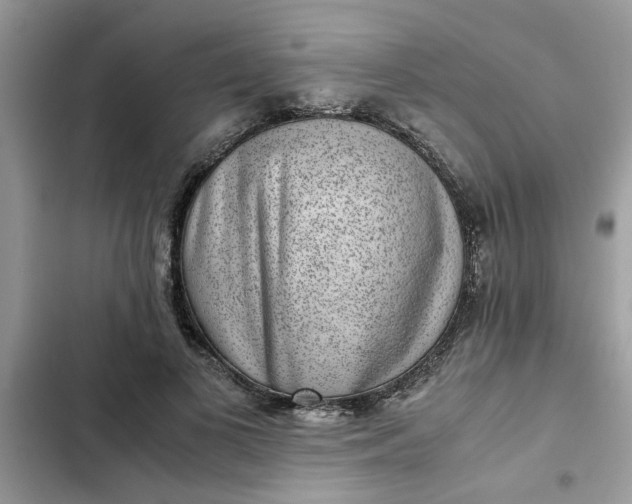 X0000102340693200808151728