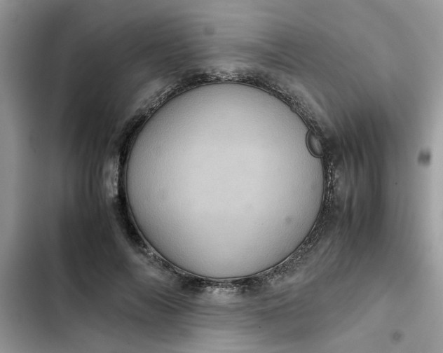 X0000102340694200808151728