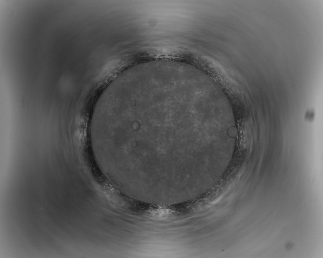 X0000102340695200808151728