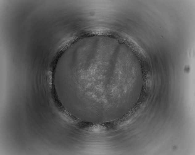 X0000102340696200808151728