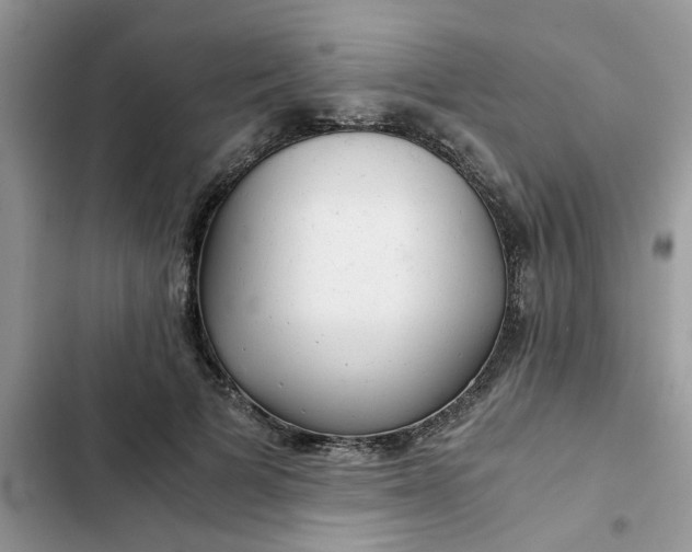 X0000102340697200808151728