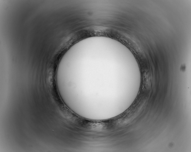 X0000102340698200808151728