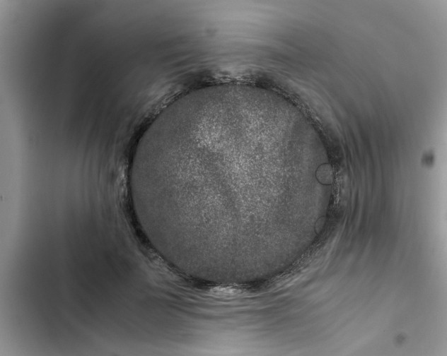 X0000102340699200808151728