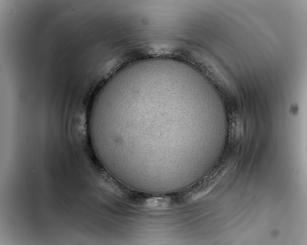 X0000102340700200808151728