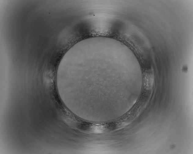 X0000102340701200808151728