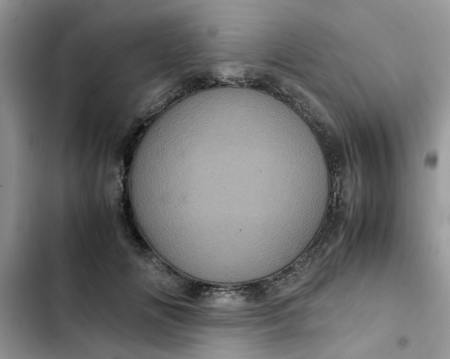 X0000102340702200808151728