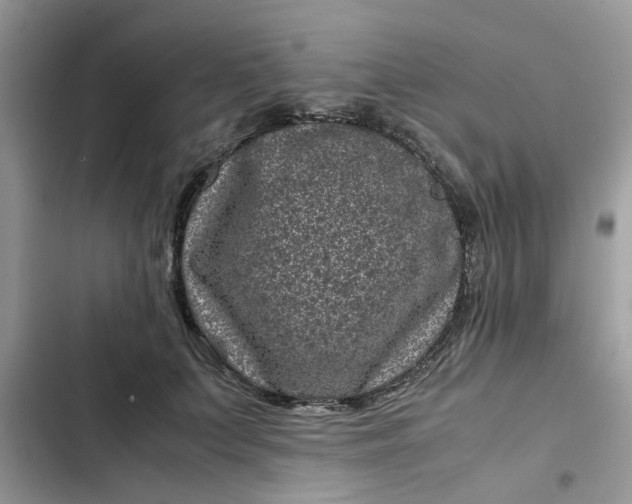 X0000102340703200808151728