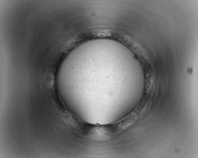 X0000102340704200808151728