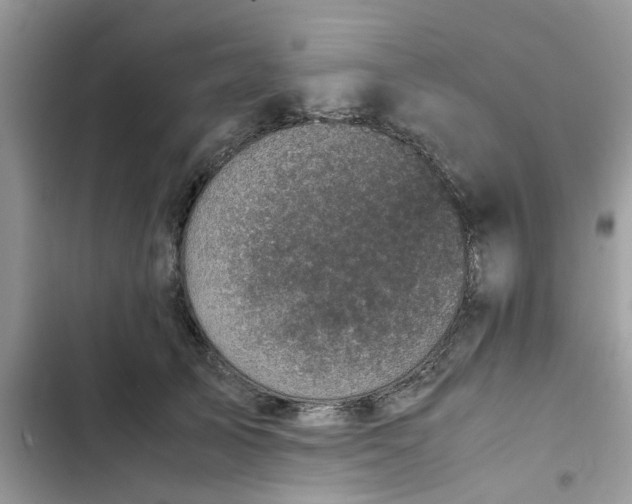 X0000102340705200808151728