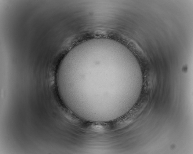 X0000102340706200808151728