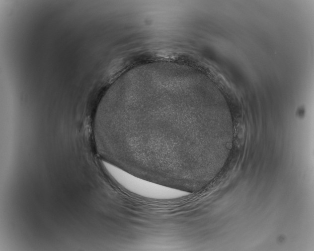 X0000102340707200808151728