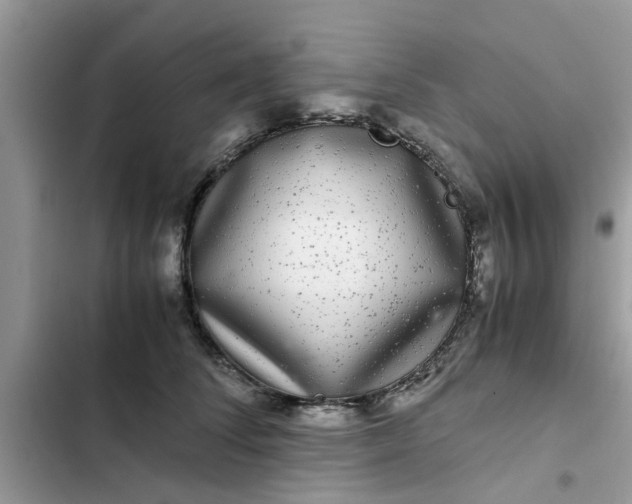 X0000102340708200808151728