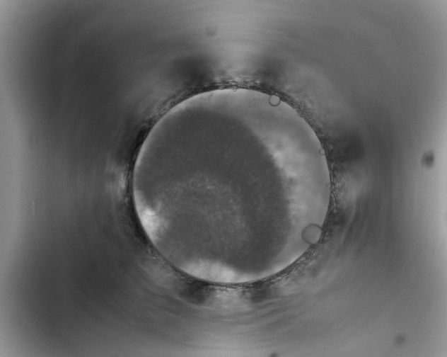 X0000102340709200808151728