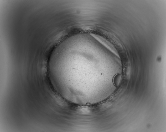 X0000102340710200808151728