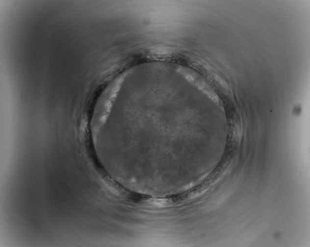 X0000102340711200808151728