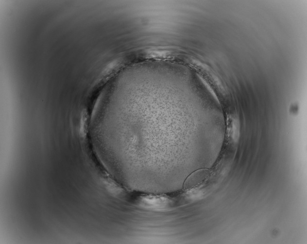 X0000102340712200808151728