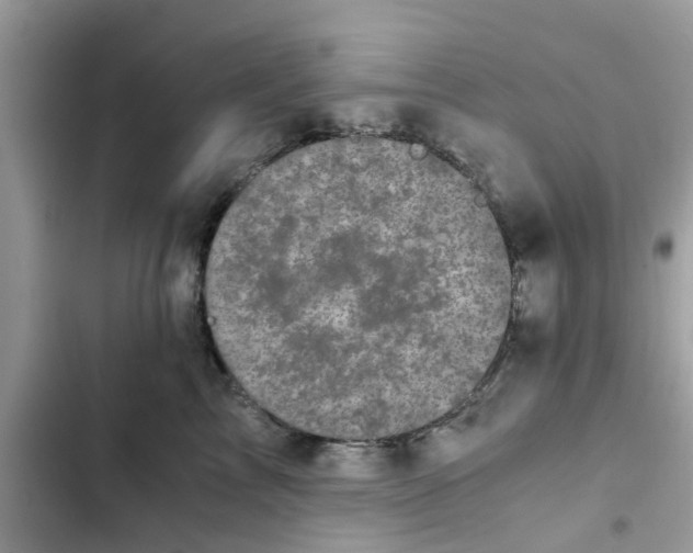 X0000102340713200808151728