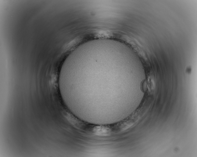 X0000102340714200808151728