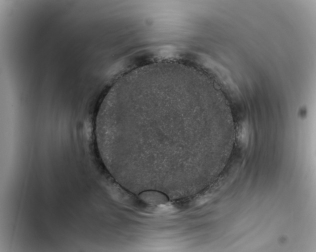 X0000102340715200808151728