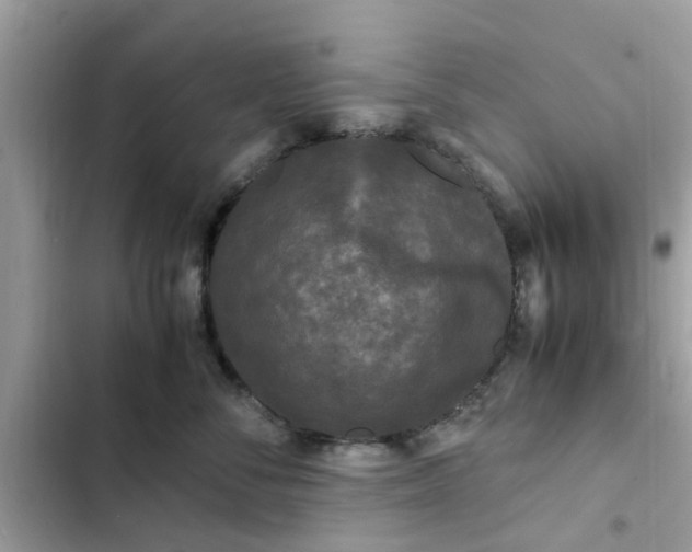 X0000102340716200808151728