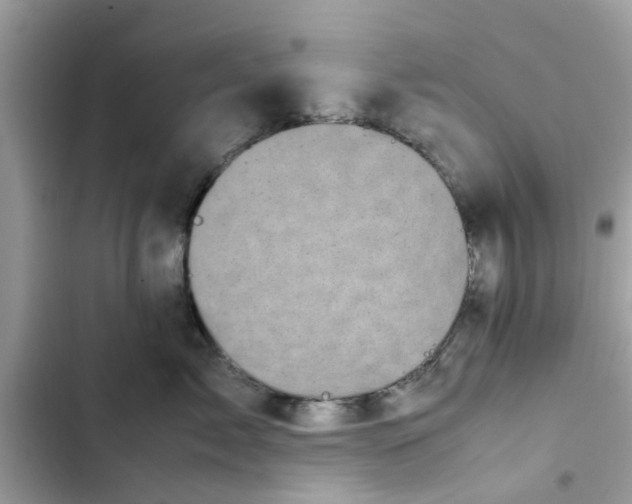 X0000102340717200808151728