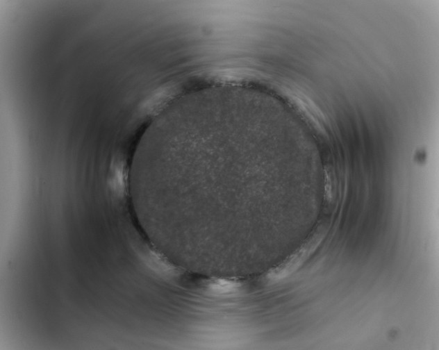 X0000102340718200808151728