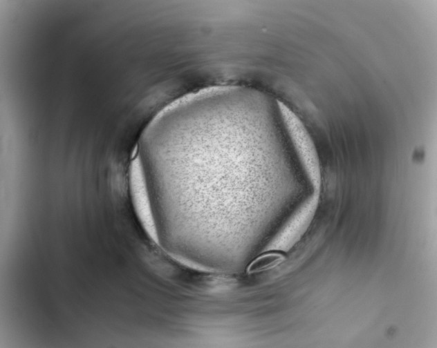 X0000102340719200808151728