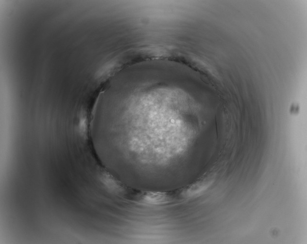 X0000102340720200808151728