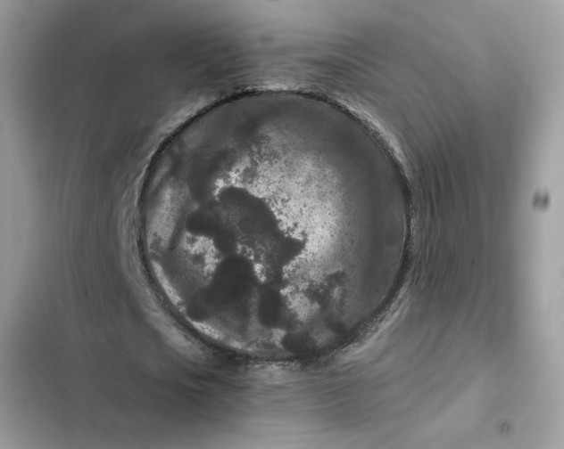 X0000102340721200808151727