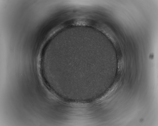 X0000102340722200808151727