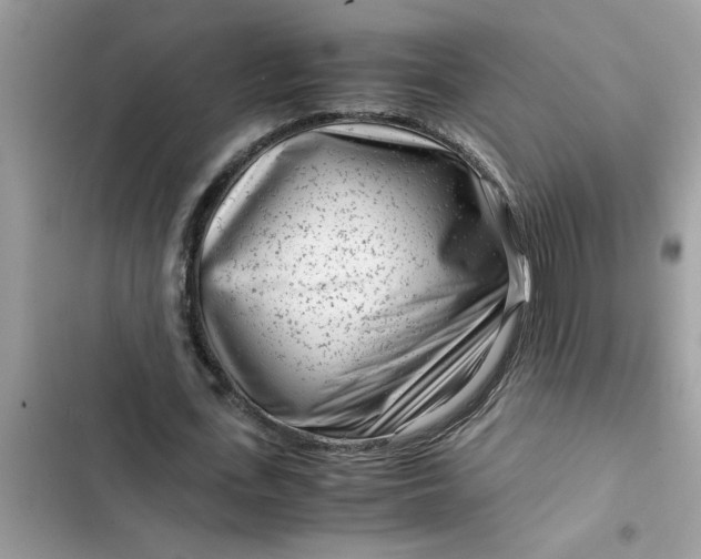 X0000102340723200808151727