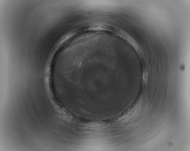 X0000102340724200808151727