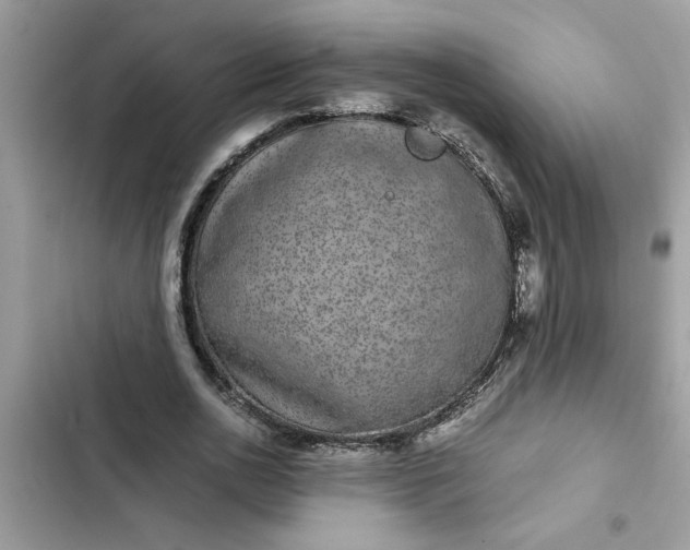 X0000102340726200808151727