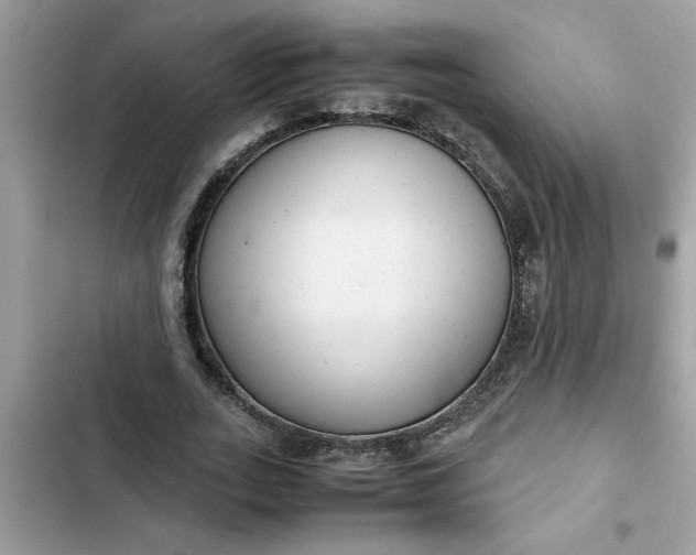 X0000102340727200808151727