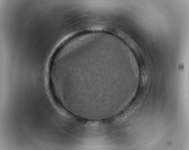 X0000102340728200808151727