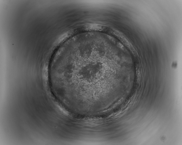 X0000102340729200808151727