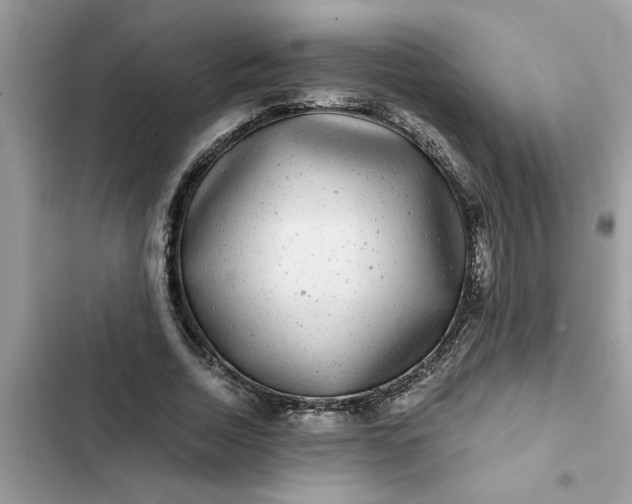 X0000102340730200808151727