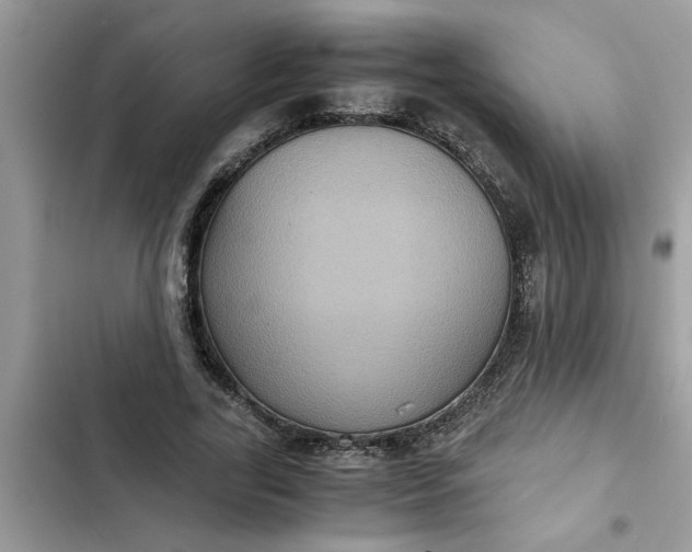 X0000102340731200808151727