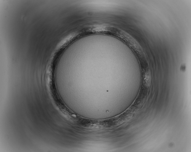 X0000102340732200808151727