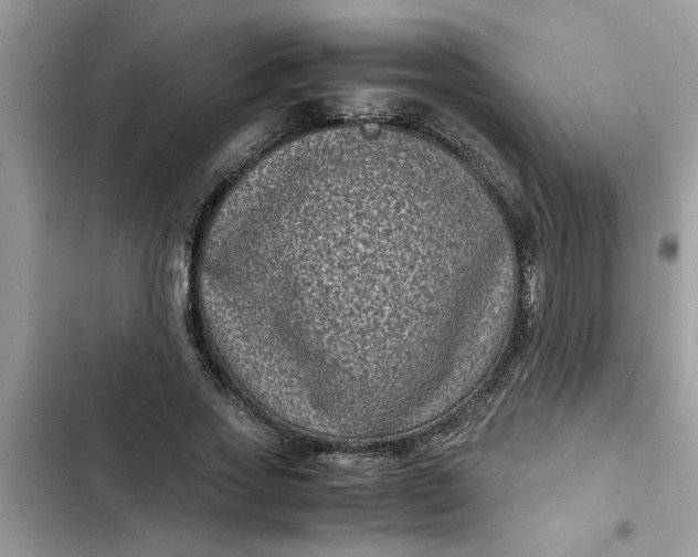 X0000102340733200808151727