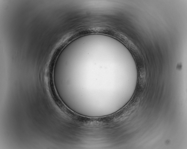 X0000102340734200808151727