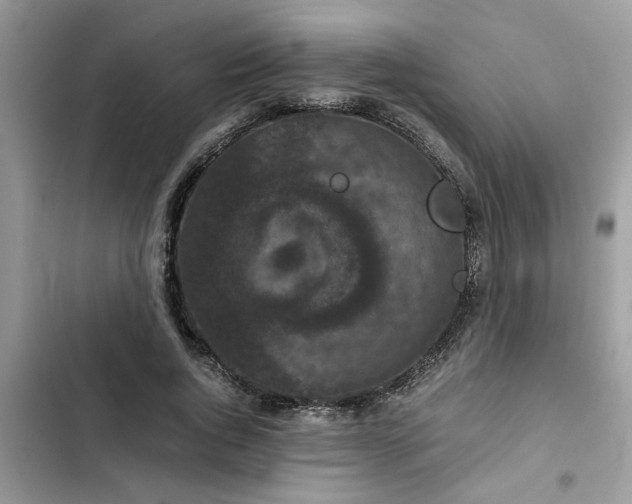 X0000102340736200808151727