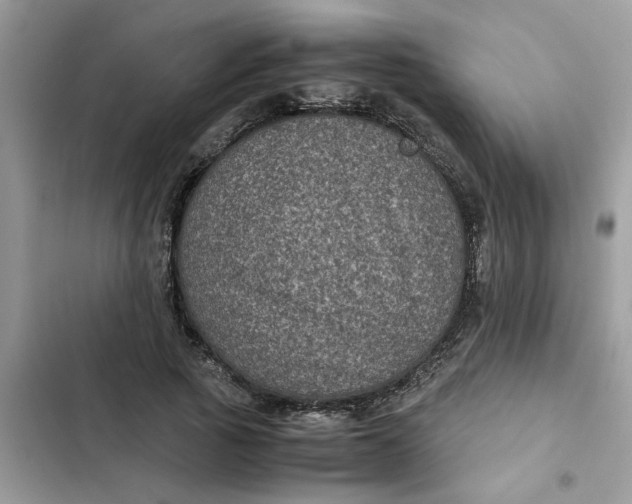 X0000102340737200808151727