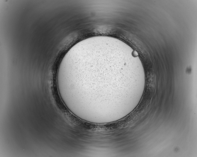 X0000102340738200808151727